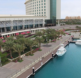 Bay La Sun Marina Yacht club - KAEC