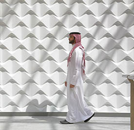 Entrepreneurial City - KAEC