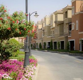 Alwaha district street view -  KAEC 